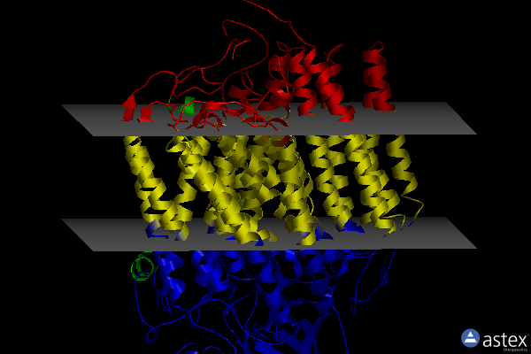 Membrane view of 1m56