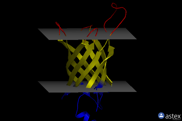 Membrane view of 1mm5