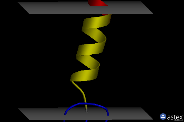 Membrane view of 1mot