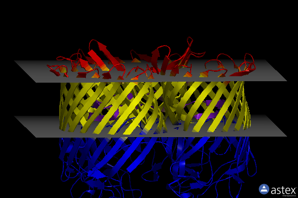 Membrane view of 1mpq
