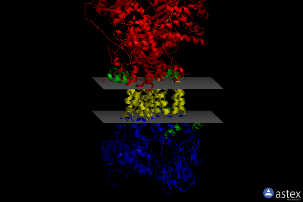Membrane view of 1ntz