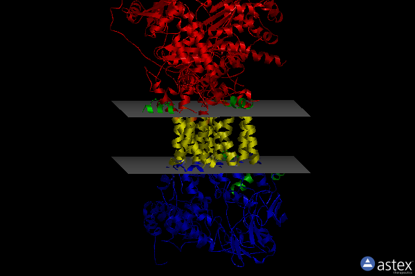 Membrane view of 1nu1