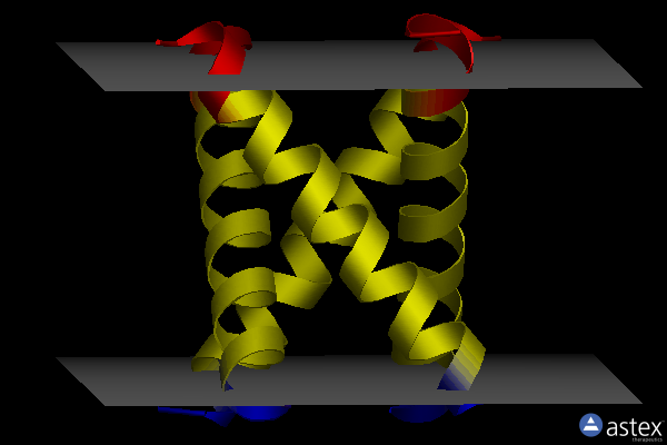 Membrane view of 1nyj