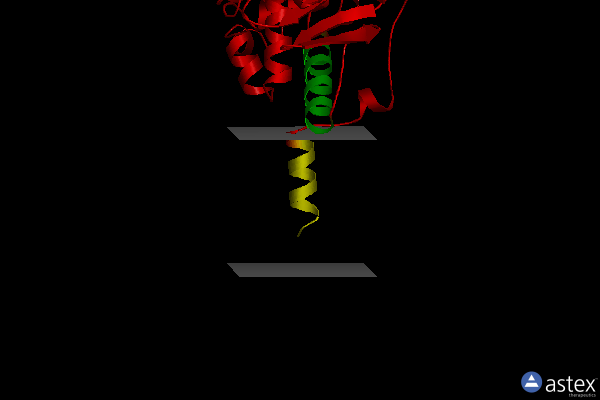Membrane view of 1ojc