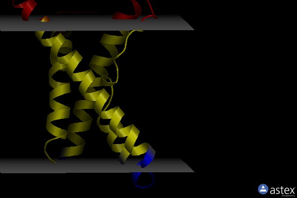 Membrane view of 1ors