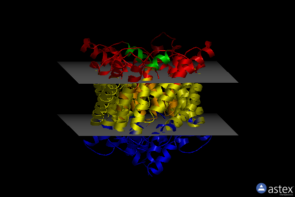 Membrane view of 1ott