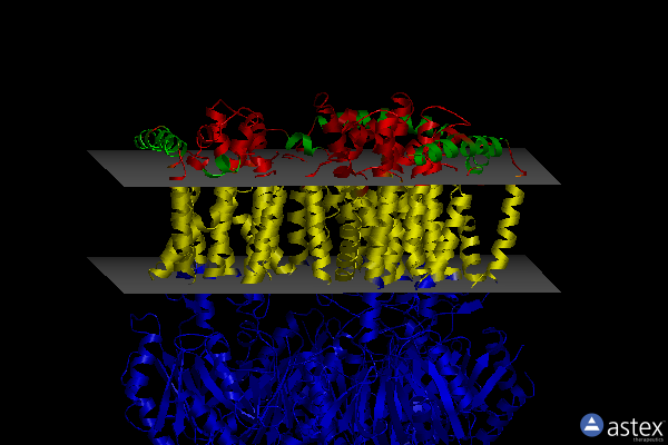 Membrane view of 1oy8
