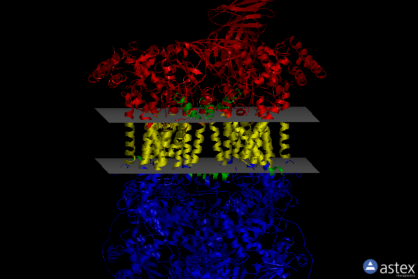 Membrane view of 1p84