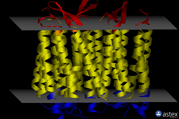 Membrane view of 1p8h