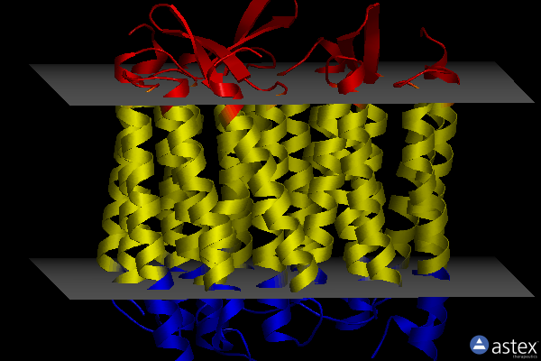 Membrane view of 1p8i