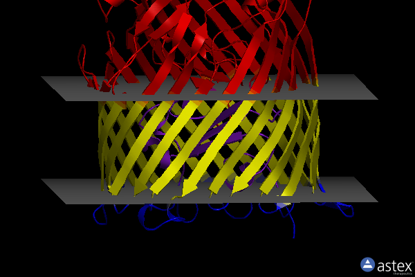 Membrane view of 1pnz
