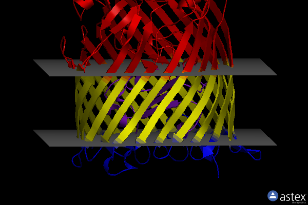 Membrane view of 1po0