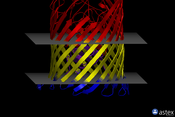 Membrane view of 1po3