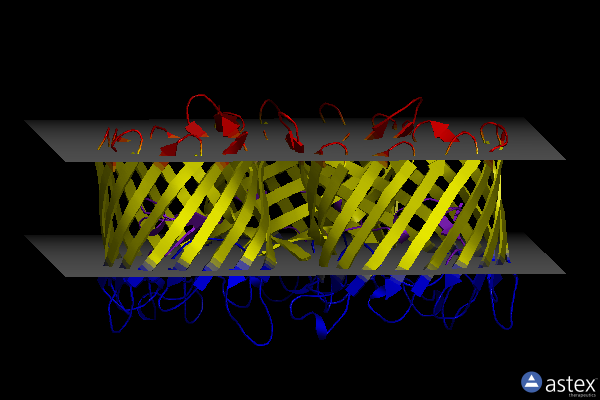 Membrane view of 1prn
