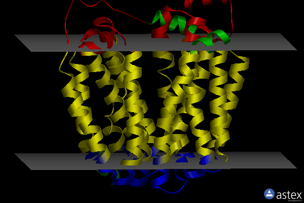 Membrane view of 1pv6