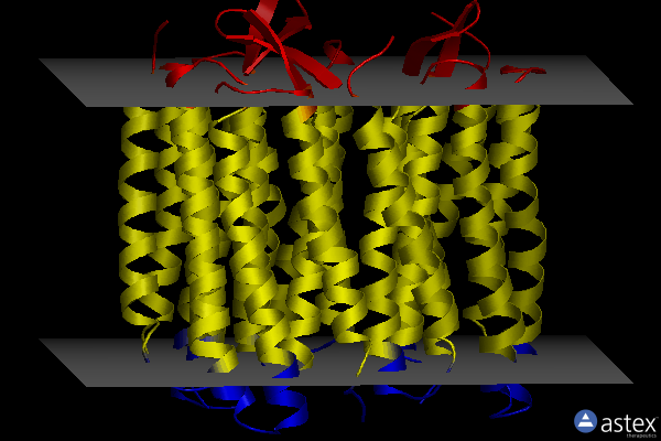 Membrane view of 1pxs