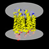 1py6