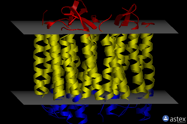 Membrane view of 1q5j