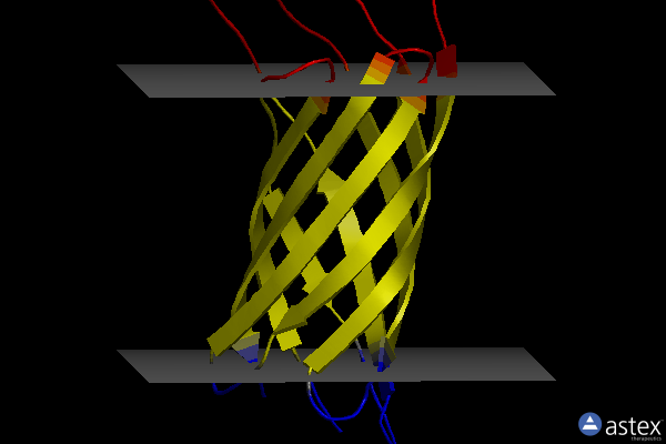 Membrane view of 1q9f