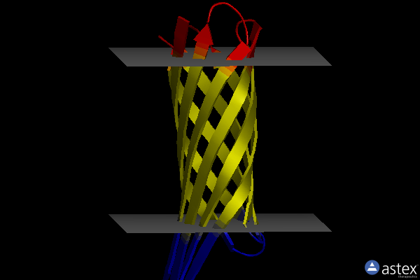 Membrane view of 1qj8
