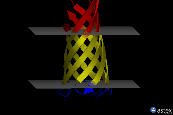 Membrane view of 1qjp