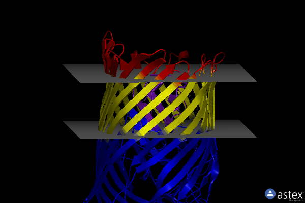 Membrane view of 1qjq