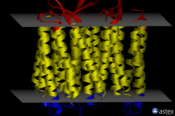 Membrane view of 1qko