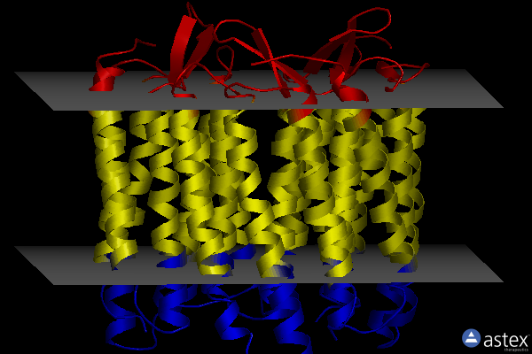 Membrane view of 1qm8