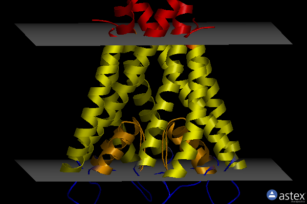 Membrane view of 1r3j