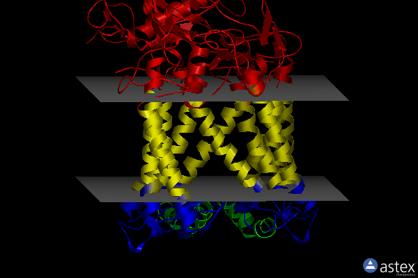 Membrane view of 1ry5