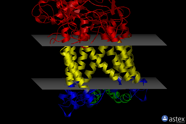 Membrane view of 1rzh