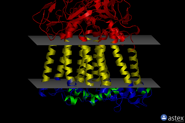 Membrane view of 1s00