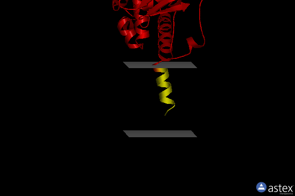 Membrane view of 1s2q