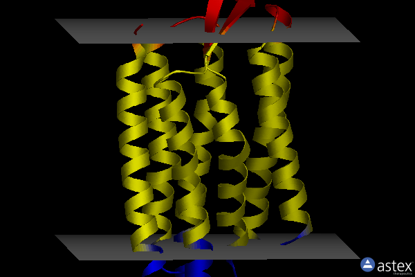 Membrane view of 1s52