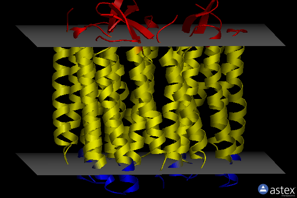 Membrane view of 1s53