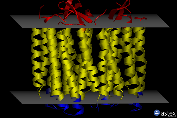 Membrane view of 1s54