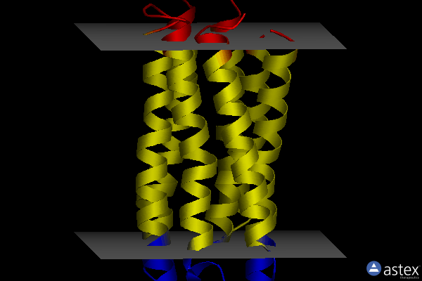 Membrane view of 1s8j