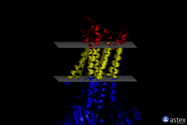 Membrane view of 1su4
