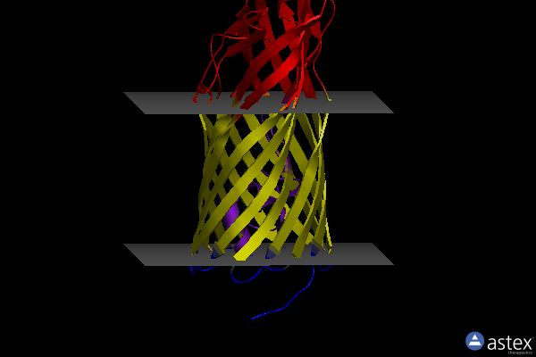 Membrane view of 1t16