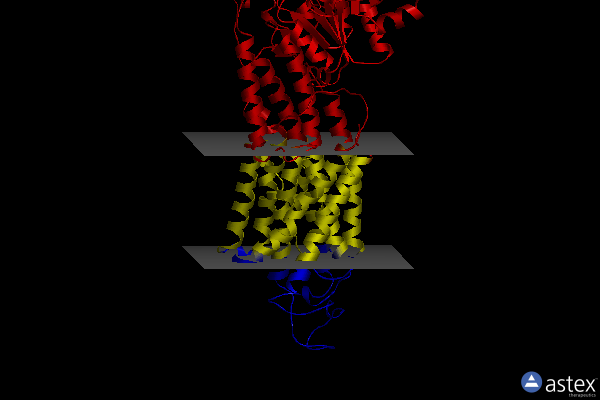 Membrane view of 1t5t