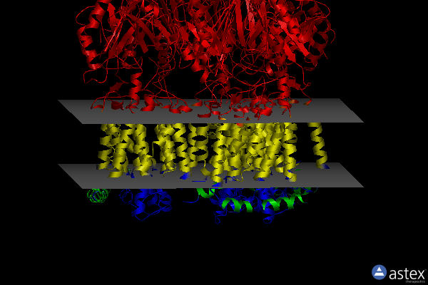 Membrane view of 1t9u