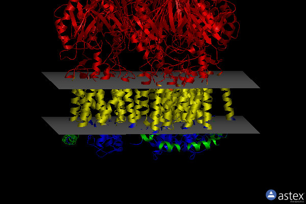 Membrane view of 1t9v