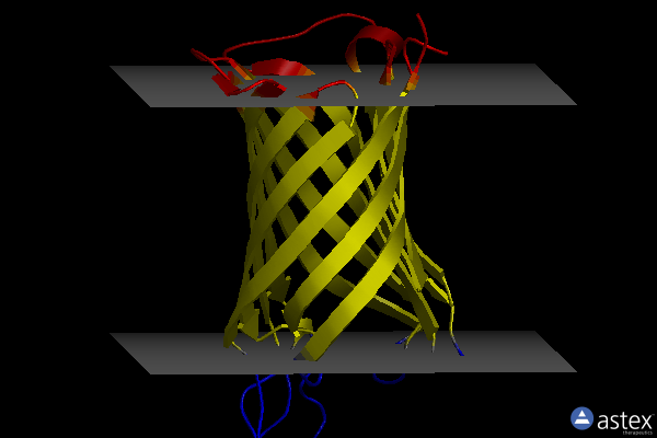 Membrane view of 1tlw