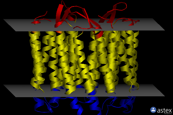 Membrane view of 1ucq