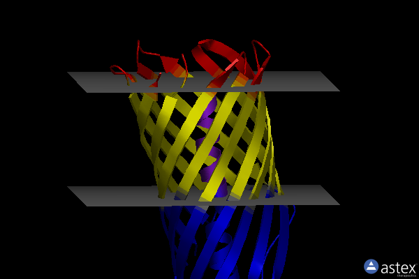 Membrane view of 1uyo