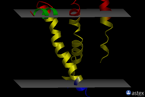 Membrane view of 1vcr
