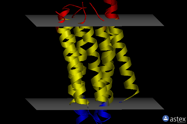 Membrane view of 1x0i