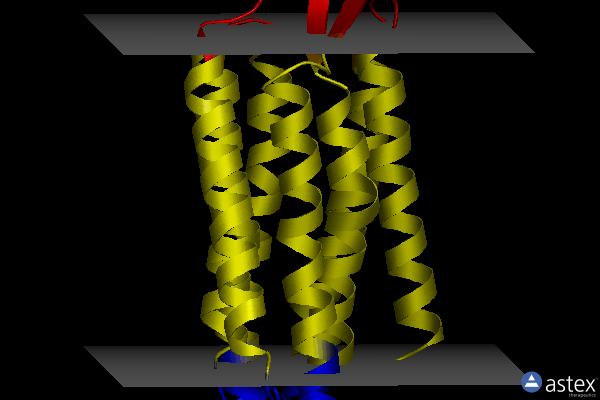 Membrane view of 1x0k