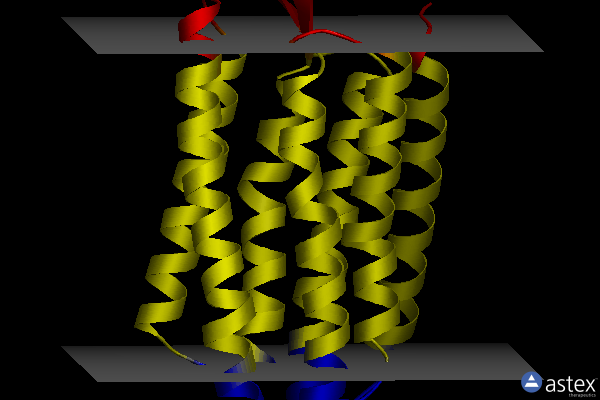 Membrane view of 1xji