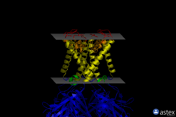 Membrane view of 1xl6